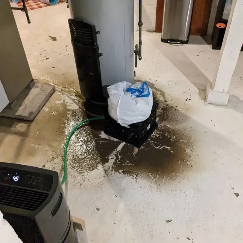 Sewage Backup Cleanup Service in Inwood, WV